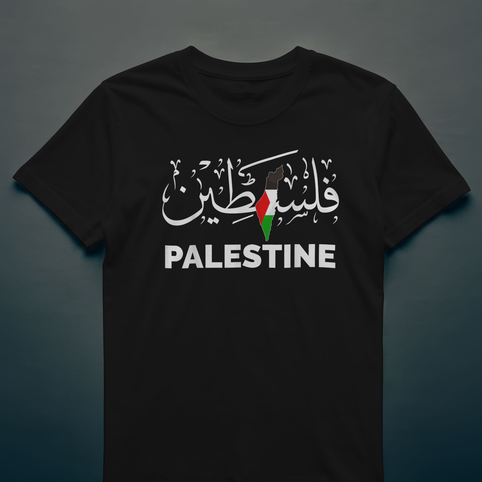 Palestine Graphic Hoodie / T-Shirt Black & White Design Arabic Script Cotton Blend — front view